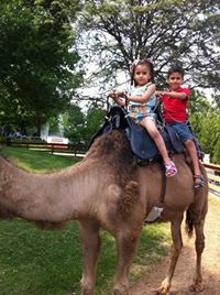 المكيمن المكيمن