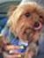 Susie M...