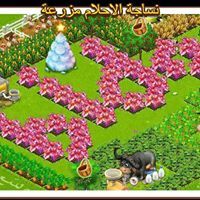 نساجة الاحلام