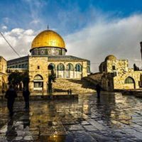 أحمد إبراهيم فرج