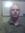 Brandon Eugene Bolhuis | 4 comments