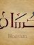 Hossam Ali