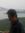 Jusan B...