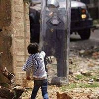 زهرة الأوركديا