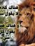 Abbas Noor