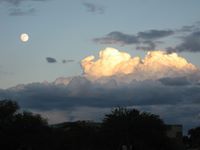 Phyllis Nardine Magrane