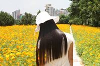 Bep Anh