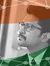 Vikrant...