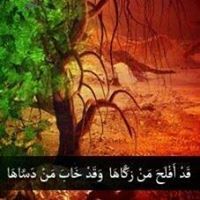 عبدالرحمن العربي