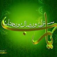 Mohamed Fawzy