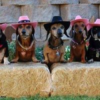 Barbara Holtgrefe Bugg