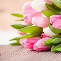 رحيق الجنان