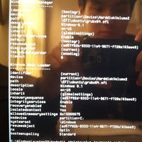 Энхсанаа Н.