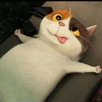 মুক্ত বিহঙ্গ