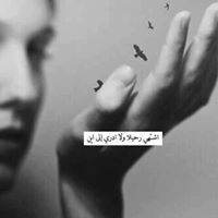 وحيدة كآلقمر