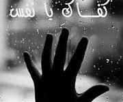 محمود السباعى