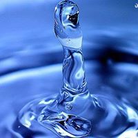 محمد الحجري