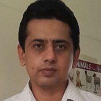 Junaid Rajput