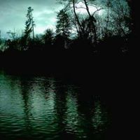 محمد سليمان الحسن