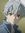 Poppy C...