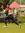 Aiman J...