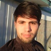 ذاكرحسين اقبال سادات