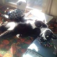 sunshinezydecoyahoo.com