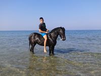 Μανώλης Σπαντής