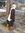Mariam (mariam_hajeer) | 1 comments
