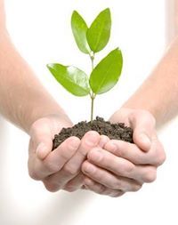 خالد بن سلامة