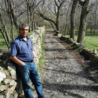 فرشید شریفی