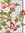 Textiq | 2 comments