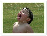 د.أحمد إبراهيم