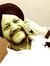 Raja Sethi