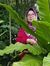 Mariam ...