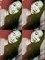 Judy Ann