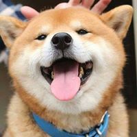 มิซารั่ว กระต่วยโม่ยมุ้งมิ้ง