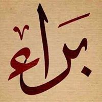 Aseel Alferdows