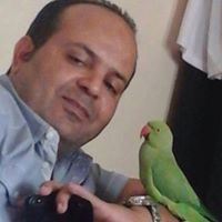 Nader Alsaid