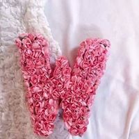 Walaa Alshorman