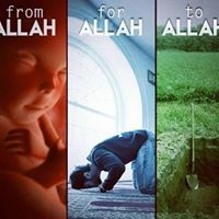 محمد الفاتح