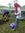 Arief P...