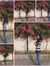 Pooja S...