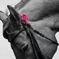 مريم أبو جبارة