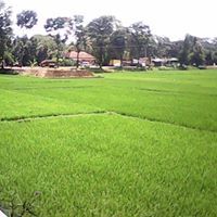 Subari Ri