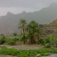 فايز العماري