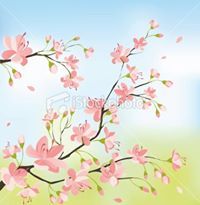 Alrumaitha Alhashemi