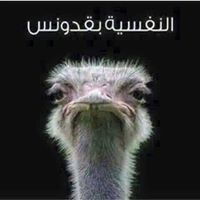 Mohamed Elsherif