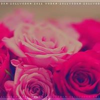 ملاك العنزي