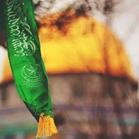 فارسة محمدية